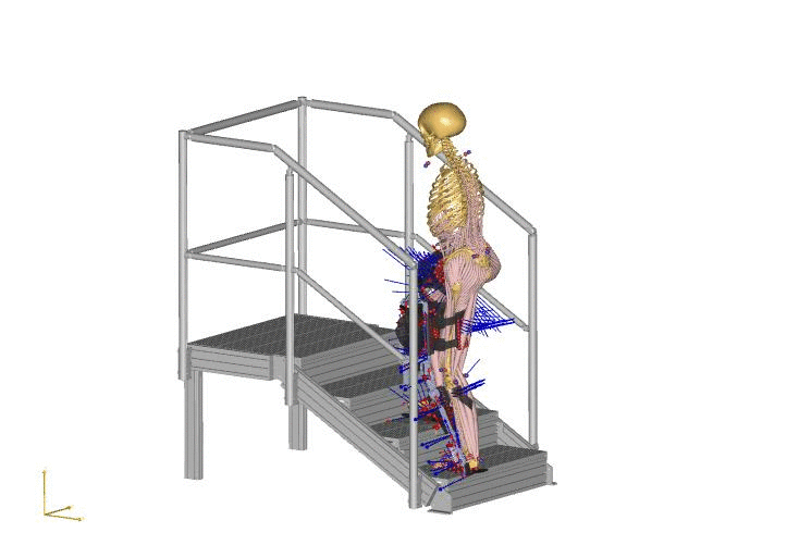 Schnittstellenmodell Skelett mit Exoskelett am Bein steigt Treppe nach oben/bei Verlinkung führt Link zur Projektwebsite